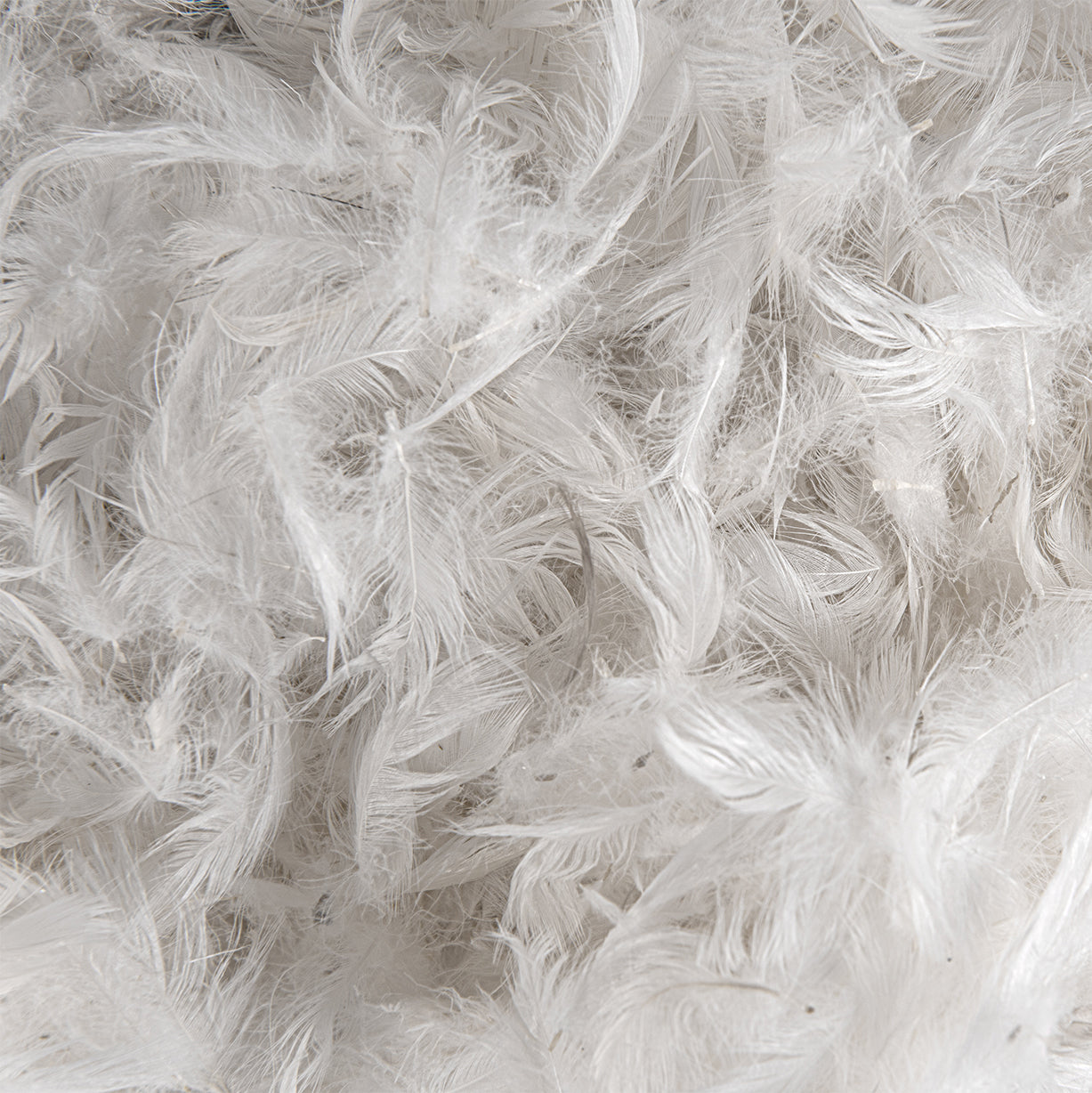 Luxury Goose Feather and Down Pillows